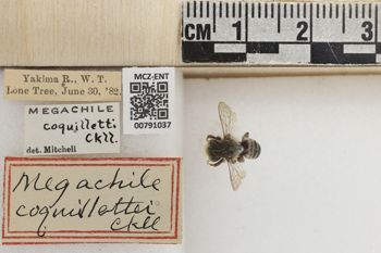 Media type: image;   Entomology 791037 Aspect: Labels